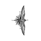 Compass Bird Temporary Tattoo Stickers with Freedom Wing Design